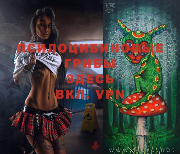 таблы Надым